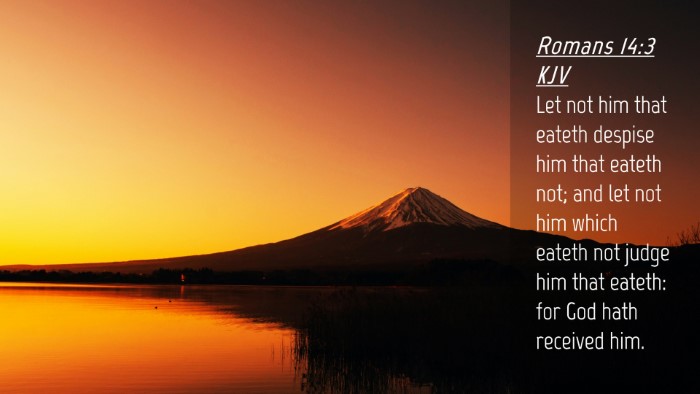 Picture 04 - Romans 14:3 KJV Desktop Wallpaper - Let not him that eateth despise him that eateth - Desktop Bible Verse Wallpaper