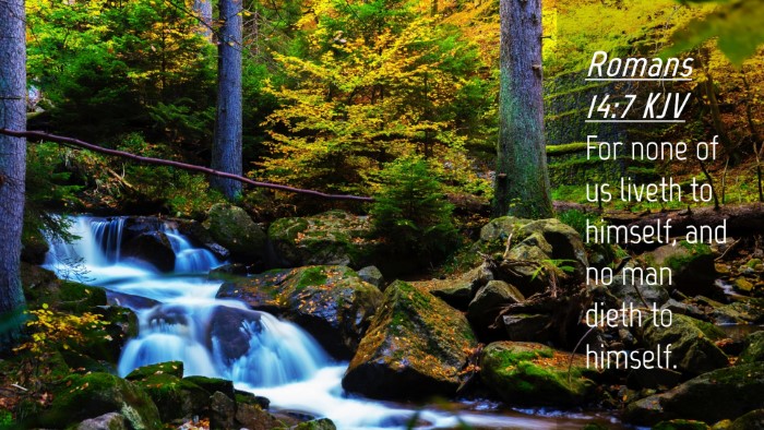 Picture 04 - Romans 14:7 KJV Desktop Wallpaper - For none of us liveth to himself, and no man - Desktop Bible Verse Wallpaper