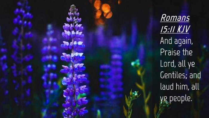 Picture 04 - Romans 15:11 KJV Desktop Wallpaper - And again, Praise the Lord, all ye Gentiles; and - Desktop Bible Verse Wallpaper