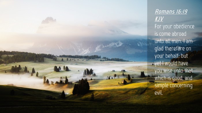 Picture 04 - Romans 16:19 KJV Desktop Wallpaper - For your obedience is come abroad unto all men. I - Desktop Bible Verse Wallpaper