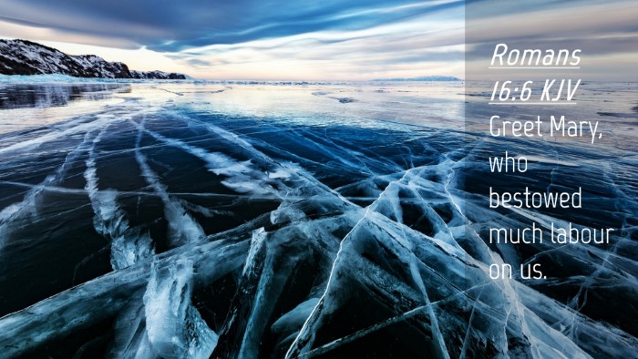 Picture 04 - Romans 16:6 KJV Desktop Wallpaper - Greet Mary, who bestowed much labour on - Desktop Bible Verse Wallpaper