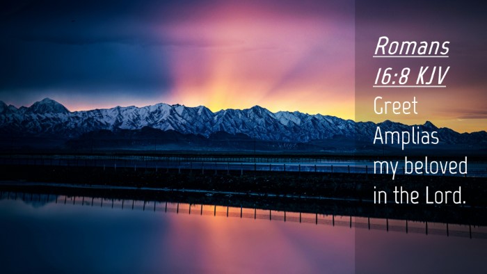 Picture 04 - Romans 16:8 KJV Desktop Wallpaper - Greet Amplias my beloved in the - Desktop Bible Verse Wallpaper