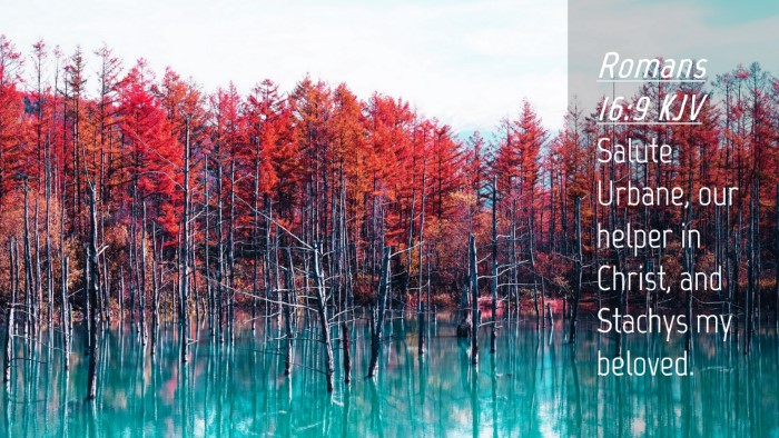 Picture 04 - Romans 16:9 KJV Desktop Wallpaper - Salute Urbane, our helper in Christ, and Stachys - Desktop Bible Verse Wallpaper