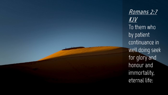 Picture 04 - Romans 2:7 KJV Desktop Wallpaper - To them who by patient continuance in well doing - Desktop Bible Verse Wallpaper
