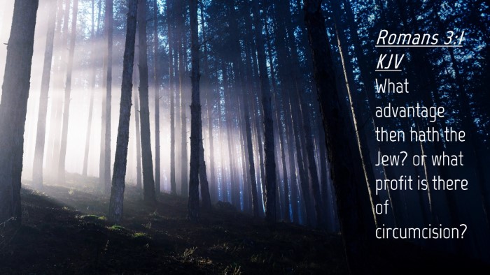 Picture 04 - Romans 3:1 KJV Desktop Wallpaper - What advantage then hath the Jew? or what profit - Desktop Bible Verse Wallpaper