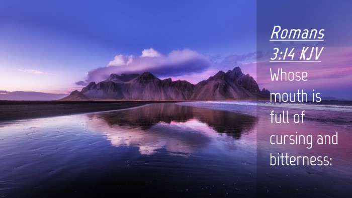Picture 04 - Romans 3:14 KJV Desktop Wallpaper - Whose mouth is full of cursing and - Desktop Bible Verse Wallpaper