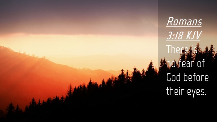 Picture 04 - Romans 3:18 KJV Desktop Wallpaper - There is no fear of God before their - Desktop Bible Verse Wallpaper