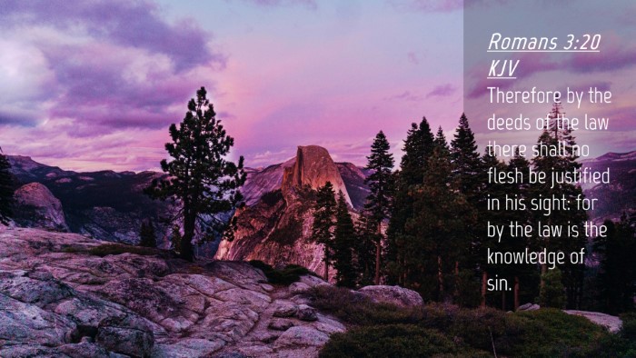 Picture 04 - Romans 3:20 KJV Desktop Wallpaper - Therefore by the deeds of the law there shall no - Desktop Bible Verse Wallpaper