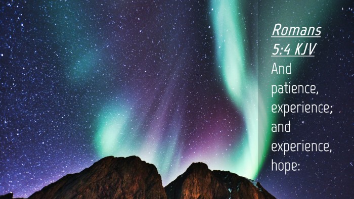 Picture 04 - Romans 5:4 KJV Desktop Wallpaper - And patience, experience; and experience, - Desktop Bible Verse Wallpaper