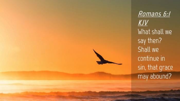Picture 04 - Romans 6:1 KJV Desktop Wallpaper - What shall we say then? Shall we continue in sin, - Desktop Bible Verse Wallpaper