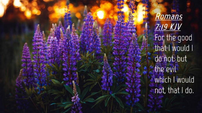 Picture 04 - Romans 7:19 KJV Desktop Wallpaper - For the good that I would I do not: but the evil - Desktop Bible Verse Wallpaper