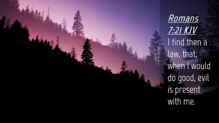 Picture 04 - Romans 7:21 KJV Desktop Wallpaper - I find then a law, that, when I would do good, - Desktop Bible Verse Wallpaper