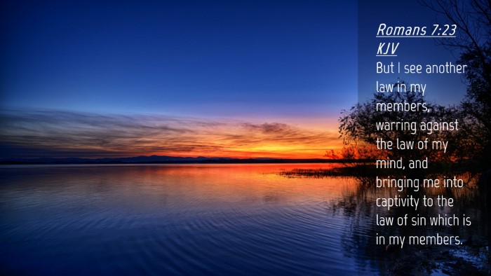 Picture 04 - Romans 7:23 KJV Desktop Wallpaper - But I see another law in my members, warring - Desktop Bible Verse Wallpaper