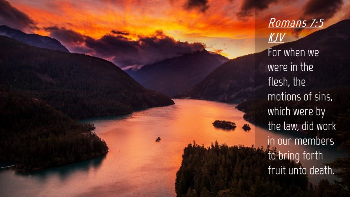 Picture 04 - Romans 7:5 KJV Desktop Wallpaper - For when we were in the flesh, the motions of - Desktop Bible Verse Wallpaper
