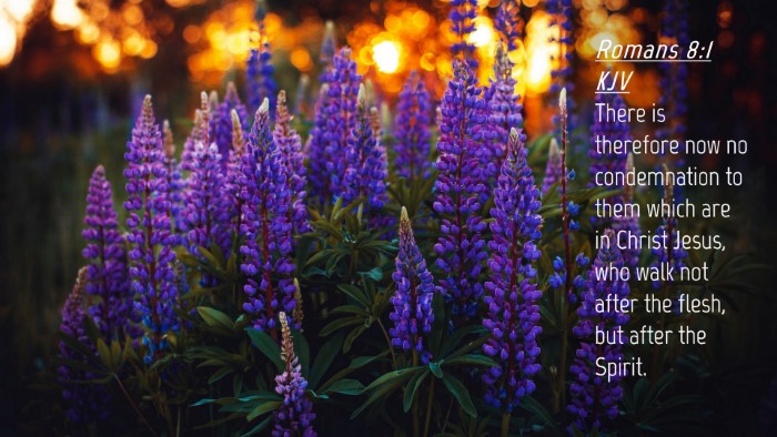 Picture 04 - Romans 8:1 KJV Desktop Wallpaper - There is therefore now no condemnation to them - Desktop Bible Verse Wallpaper