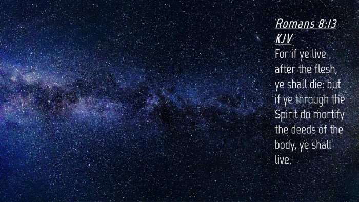 Picture 04 - Romans 8:13 KJV Desktop Wallpaper - For if ye live after the flesh, ye shall die: but - Desktop Bible Verse Wallpaper