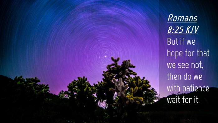 Picture 04 - Romans 8:25 KJV Desktop Wallpaper - But if we hope for that we see not, then do we - Desktop Bible Verse Wallpaper