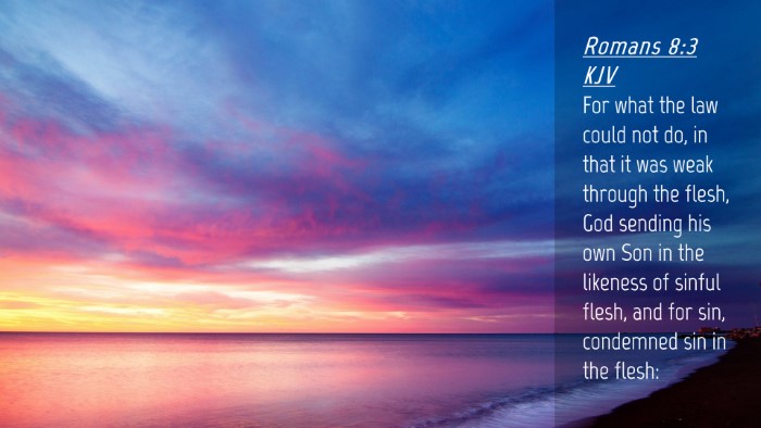 Picture 04 - Romans 8:3 KJV Desktop Wallpaper - For what the law could not do, in that it was - Desktop Bible Verse Wallpaper