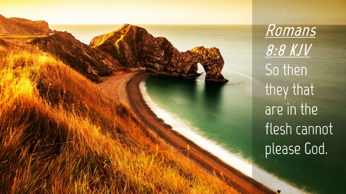 Picture 04 - Romans 8:8 KJV Desktop Wallpaper - So then they that are in the flesh cannot please - Desktop Bible Verse Wallpaper