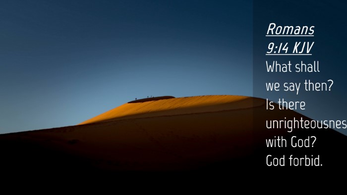 Picture 04 - Romans 9:14 KJV Desktop Wallpaper - What shall we say then? Is there unrighteousness - Desktop Bible Verse Wallpaper