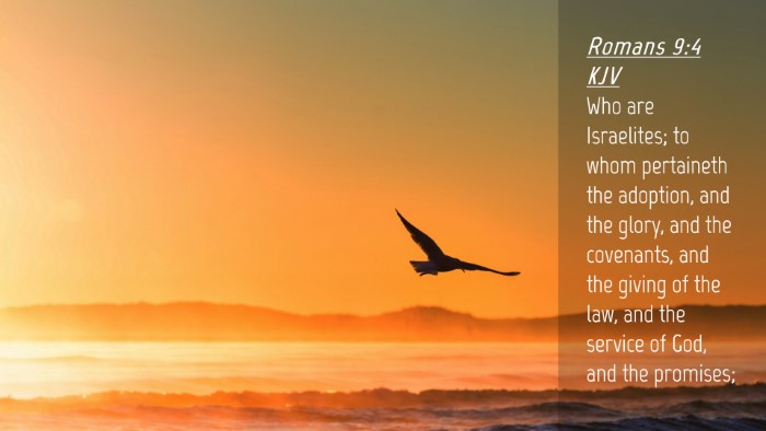Picture 04 - Romans 9:4 KJV Desktop Wallpaper - Who are Israelites; to whom pertaineth the - Desktop Bible Verse Wallpaper