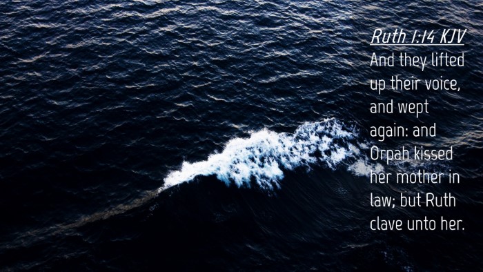 Picture 04 - Ruth 1:14 KJV Desktop Wallpaper - And they lifted up their voice, and wept again: - Desktop Bible Verse Wallpaper