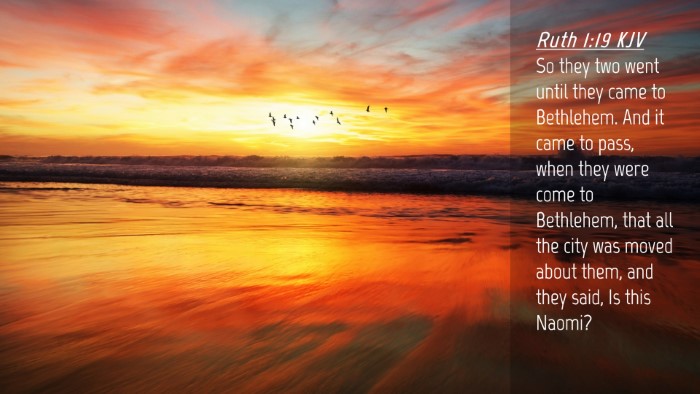 Picture 04 - Ruth 1:19 KJV Desktop Wallpaper - So they two went until they came to Bethlehem. - Desktop Bible Verse Wallpaper