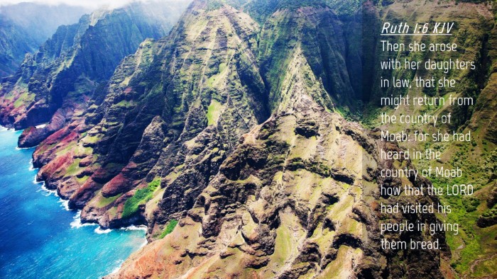 Picture 04 - Ruth 1:6 KJV Desktop Wallpaper - Then she arose with her daughters in law, that - Desktop Bible Verse Wallpaper