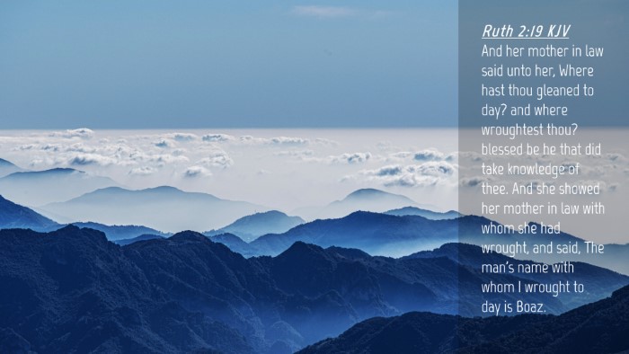 Picture 04 - Ruth 2:19 KJV Desktop Wallpaper - And her mother in law said unto her, Where hast - Desktop Bible Verse Wallpaper