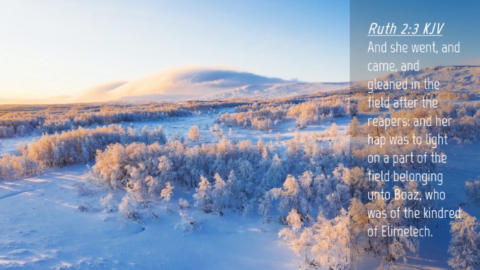 Picture 04 - Ruth 2:3 KJV Desktop Wallpaper - And she went, and came, and gleaned in the field - Desktop Bible Verse Wallpaper