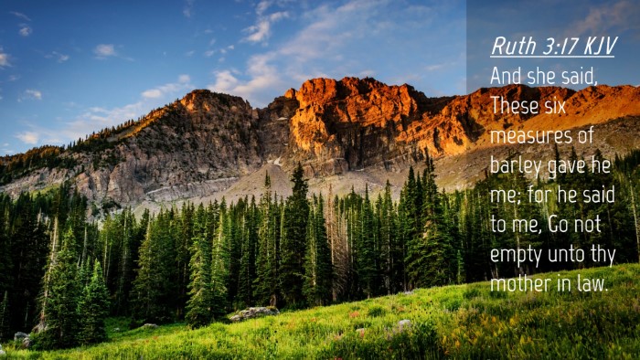 Picture 04 - Ruth 3:17 KJV Desktop Wallpaper - And she said, These six measures of barley gave - Desktop Bible Verse Wallpaper