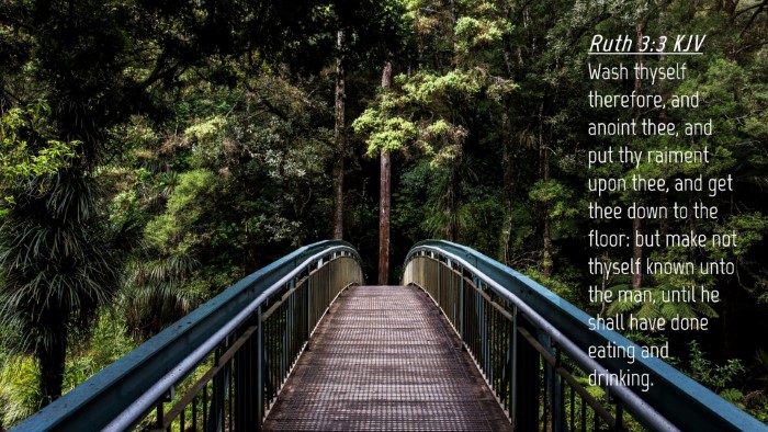 Picture 04 - Ruth 3:3 KJV Desktop Wallpaper - Wash thyself therefore, and anoint thee, and put - Desktop Bible Verse Wallpaper