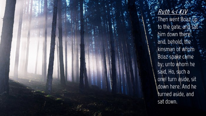 Picture 04 - Ruth 4:1 KJV Desktop Wallpaper - Then went Boaz up to the gate, and sat him down - Desktop Bible Verse Wallpaper