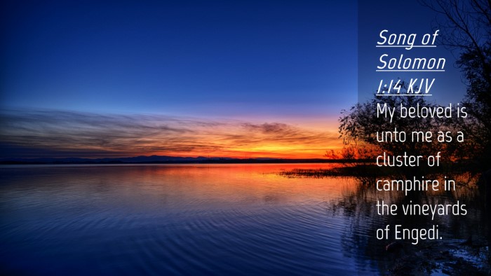Picture 04 - Song of Solomon 1:14 KJV Desktop Wallpaper - My beloved is unto me as a cluster of camphire in - Desktop Bible Verse Wallpaper