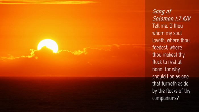 Picture 04 - Song of Solomon 1:7 KJV Desktop Wallpaper - Tell me, O thou whom my soul loveth, where thou - Desktop Bible Verse Wallpaper