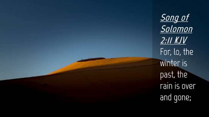 Picture 04 - Song of Solomon 2:11 KJV Desktop Wallpaper - For, lo, the winter is past, the rain is over and - Desktop Bible Verse Wallpaper