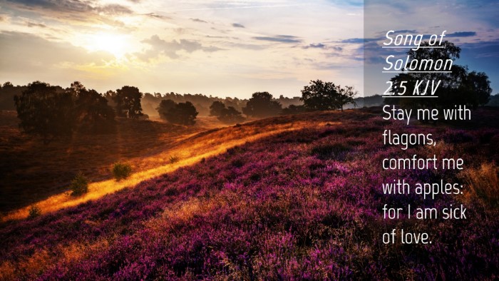 Picture 04 - Song of Solomon 2:5 KJV Desktop Wallpaper - Stay me with flagons, comfort me with apples: for - Desktop Bible Verse Wallpaper
