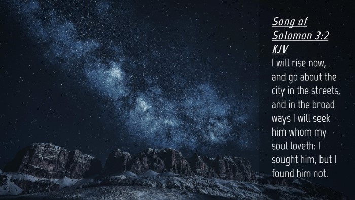 Picture 04 - Song of Solomon 3:2 KJV Desktop Wallpaper - I will rise now, and go about the city in the - Desktop Bible Verse Wallpaper