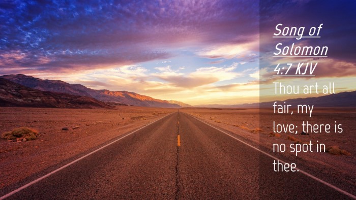 Picture 04 - Song of Solomon 4:7 KJV Desktop Wallpaper - Thou art all fair, my love; there is no spot in - Desktop Bible Verse Wallpaper