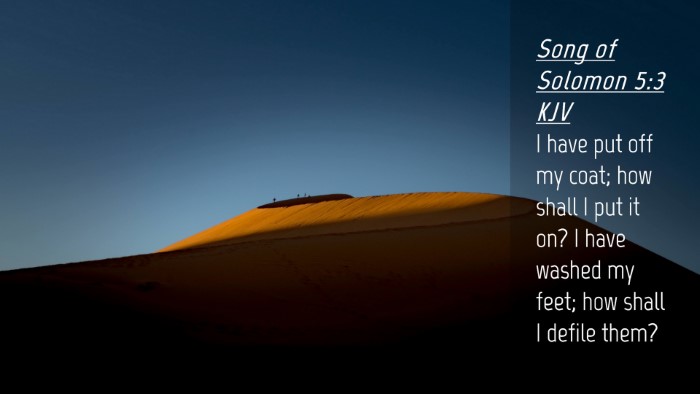 Picture 04 - Song of Solomon 5:3 KJV Desktop Wallpaper - I have put off my coat; how shall I put it on? I - Desktop Bible Verse Wallpaper