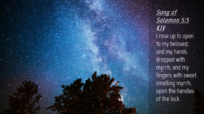 Picture 04 - Song of Solomon 5:5 KJV Desktop Wallpaper - I rose up to open to my beloved; and my hands - Desktop Bible Verse Wallpaper
