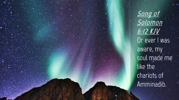 Picture 04 - Song of Solomon 6:12 KJV Desktop Wallpaper - Or ever I was aware, my soul made me like the - Desktop Bible Verse Wallpaper