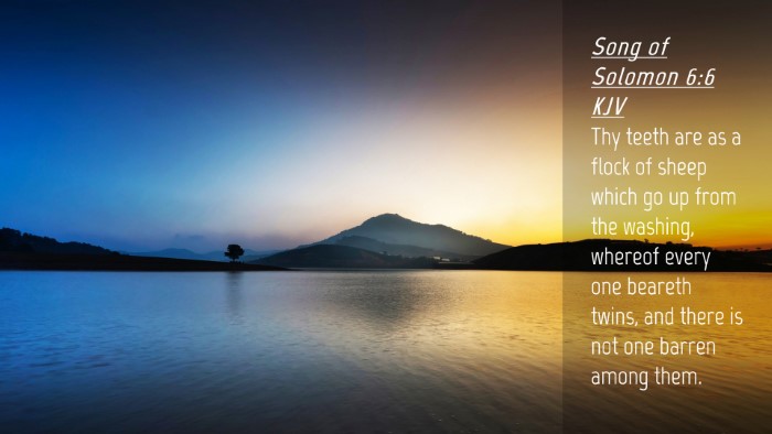 Picture 04 - Song of Solomon 6:6 KJV Desktop Wallpaper - Thy teeth are as a flock of sheep which go up - Desktop Bible Verse Wallpaper