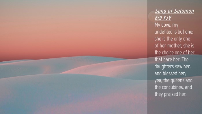 Picture 04 - Song of Solomon 6:9 KJV Desktop Wallpaper - My dove, my undefiled is but one; she is the only - Desktop Bible Verse Wallpaper