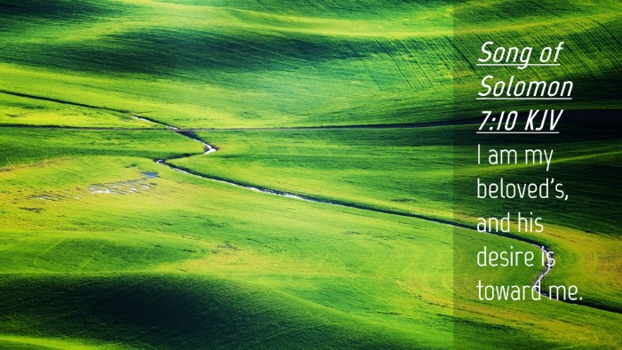 Picture 04 - Song of Solomon 7:10 KJV Desktop Wallpaper - I am my beloved's, and his desire is toward - Desktop Bible Verse Wallpaper