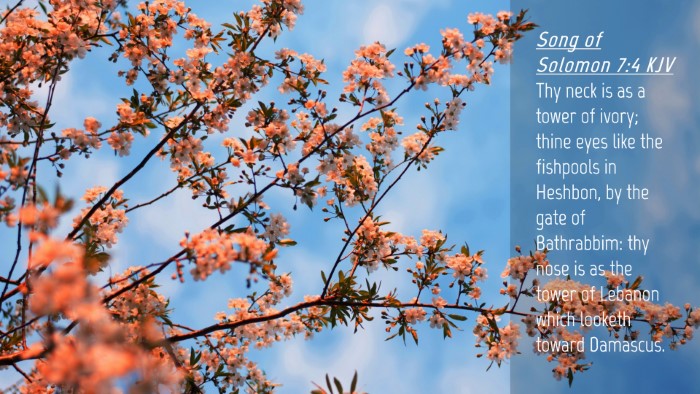 Picture 04 - Song of Solomon 7:4 KJV Desktop Wallpaper - Thy neck is as a tower of ivory; thine eyes like - Desktop Bible Verse Wallpaper