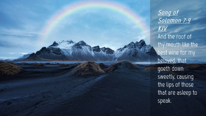 Picture 04 - Song of Solomon 7:9 KJV Desktop Wallpaper - And the roof of thy mouth like the best wine for - Desktop Bible Verse Wallpaper