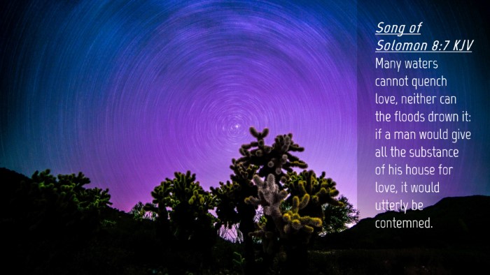 Picture 04 - Song of Solomon 8:7 KJV Desktop Wallpaper - Many waters cannot quench love, neither can the - Desktop Bible Verse Wallpaper