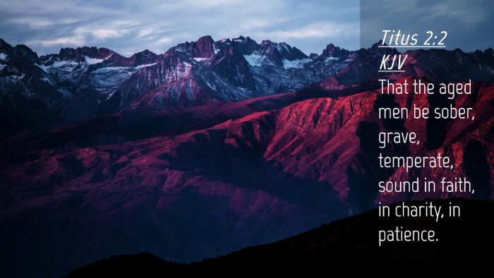 Picture 04 - Titus 2:2 KJV Desktop Wallpaper - That the aged men be sober, grave, temperate, - Desktop Bible Verse Wallpaper