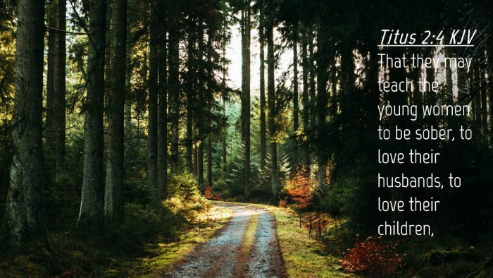 Picture 04 - Titus 2:4 KJV Desktop Wallpaper - That they may teach the young women to be sober, - Desktop Bible Verse Wallpaper